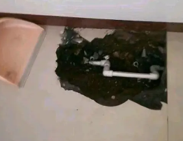 岑巩卫生间测漏水多少钱